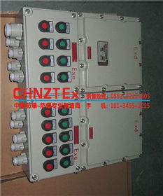 Bxq系列防爆電磁起動配電箱與工業(yè)插頭的應(yīng)用與優(yōu)勢